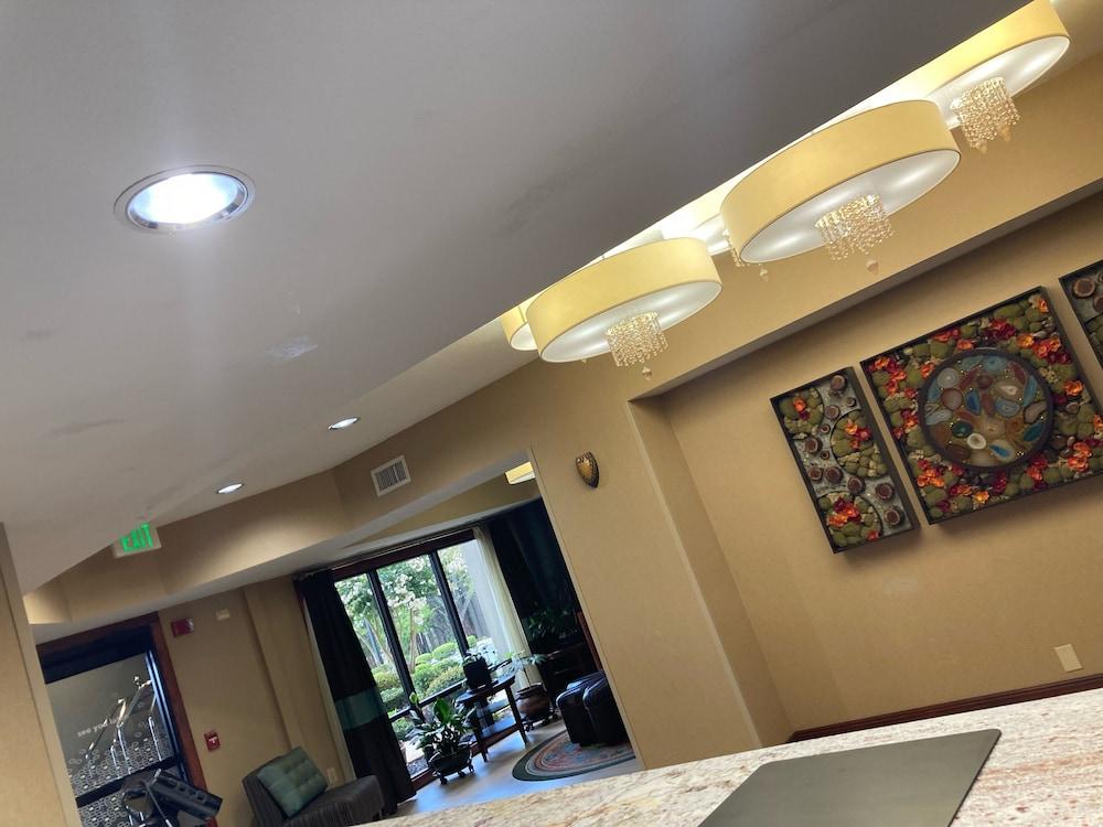 Hampton Inn & Suites By Hilton In Hot Springs, Arkansas Εξωτερικό φωτογραφία